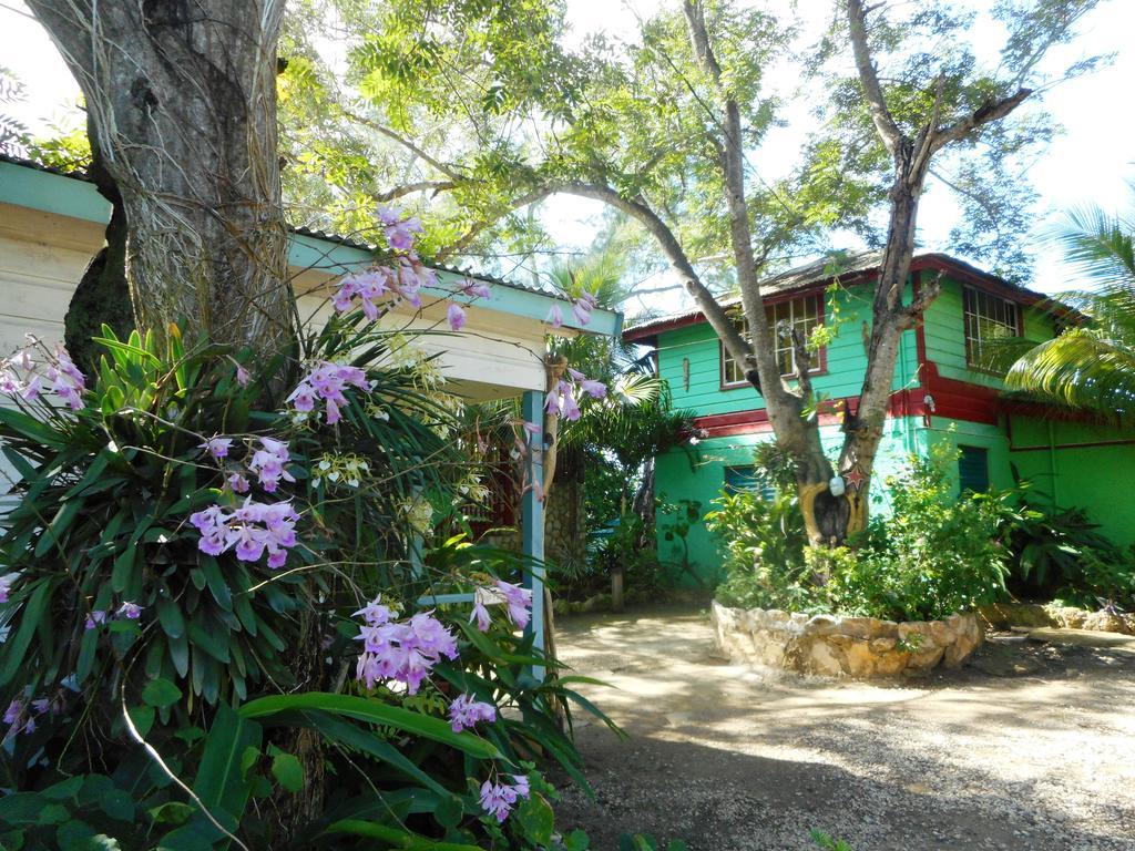 Banana Shout Resort เนกริล ภายนอก รูปภาพ